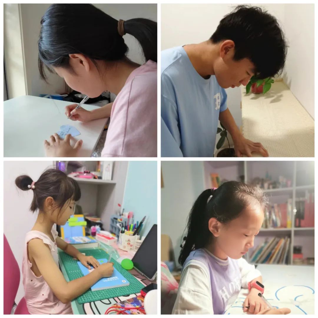 1687341383673494.jpeg 1687341383673494.jpeg