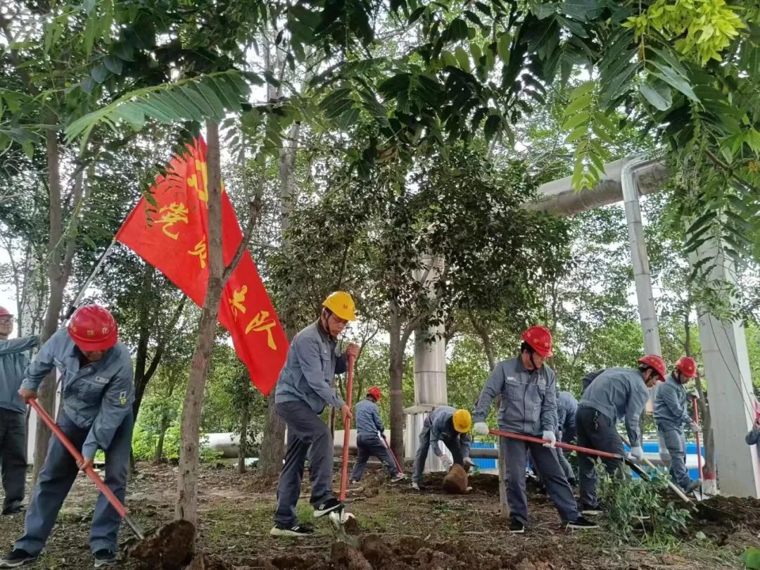 1688560563281676.jpeg 1688560563281676.jpeg