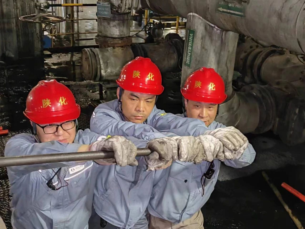 1692783893768515.jpeg 1692783893768515.jpeg