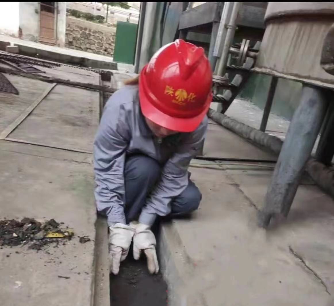 1692860680391374.jpeg 1692860680391374.jpeg