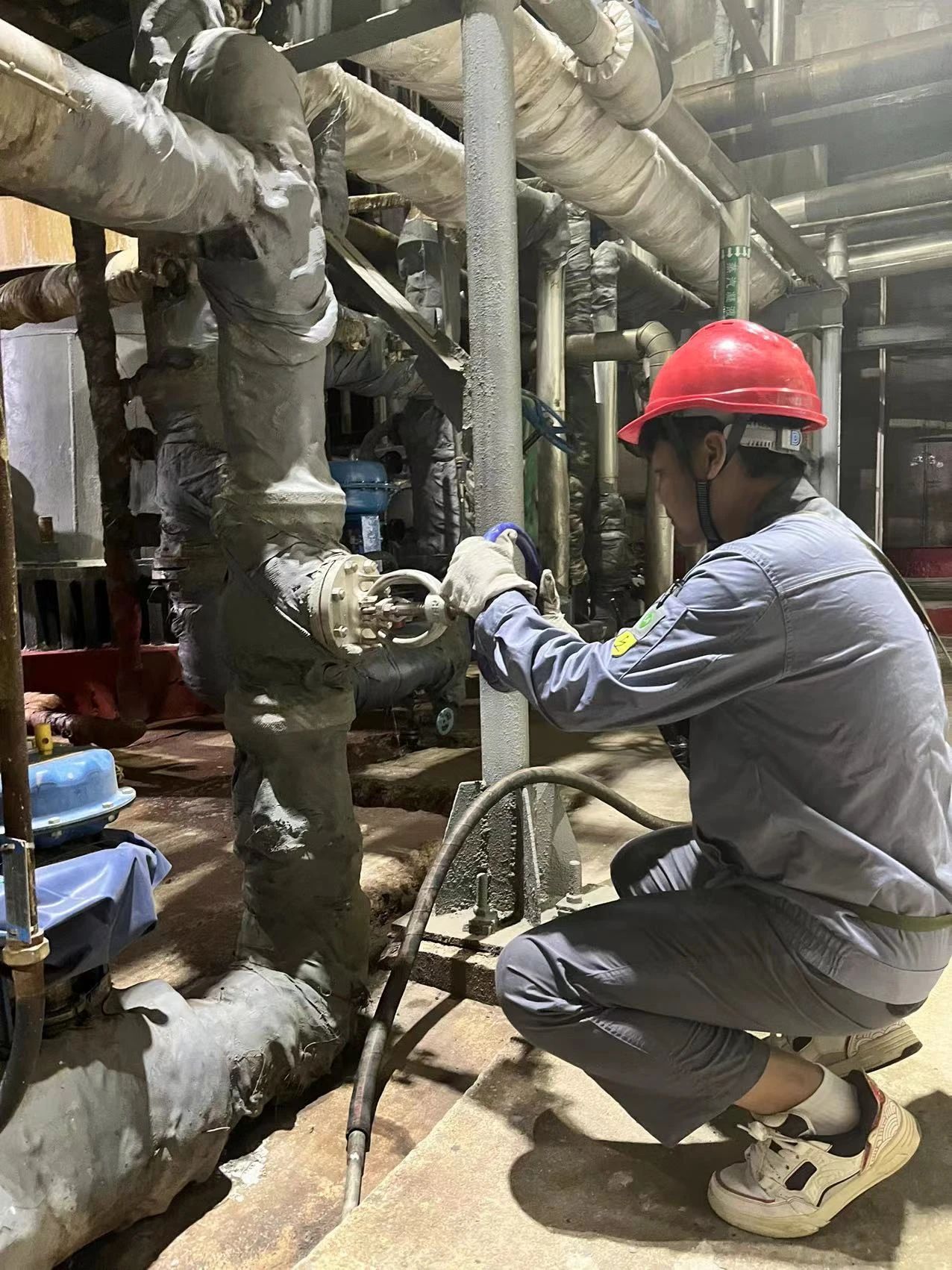 1693393972101168.jpeg 1693393972101168.jpeg