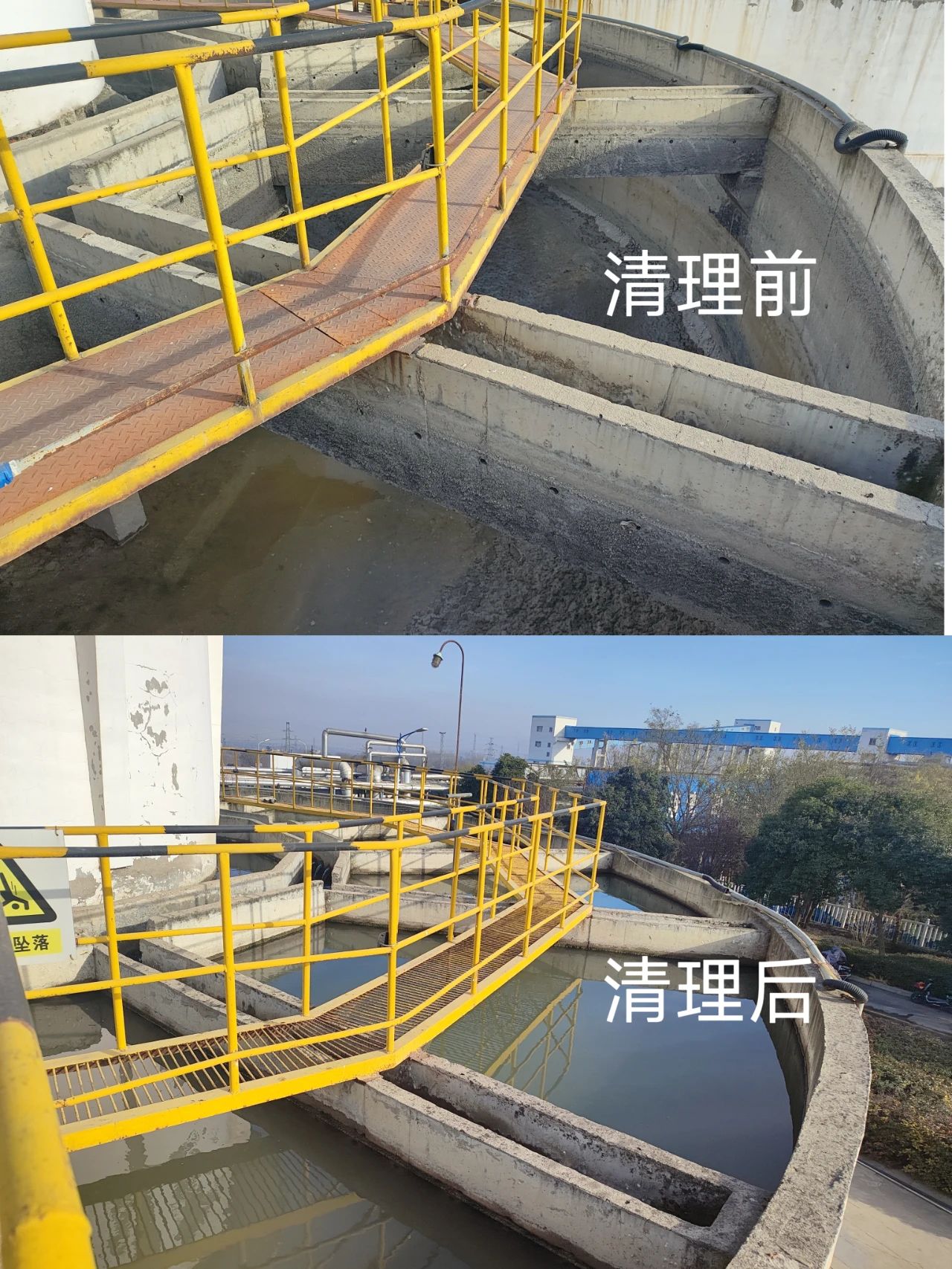 1702462803684547.jpeg 1702462803684547.jpeg