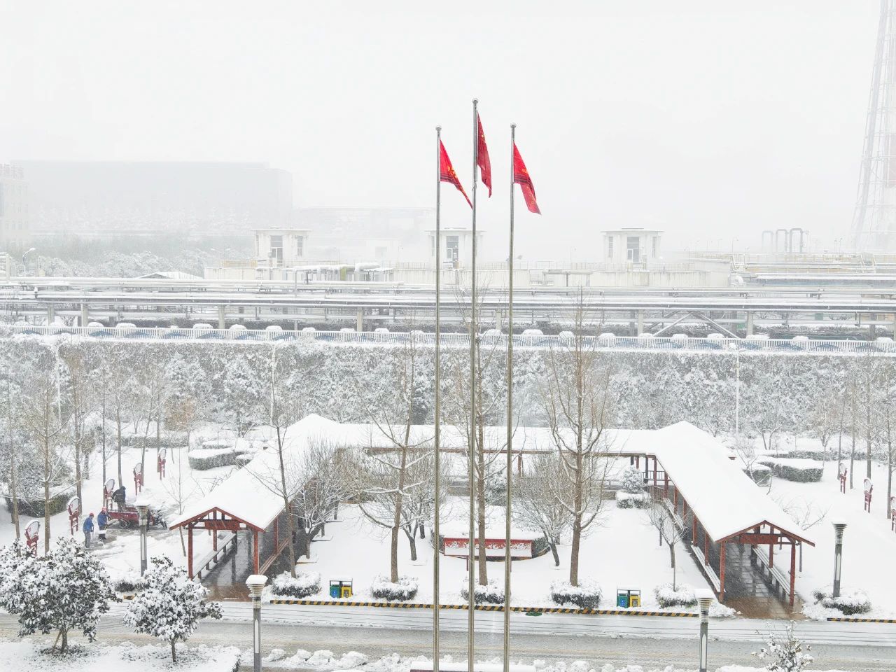 1705314254290939.jpeg 1705314254290939.jpeg