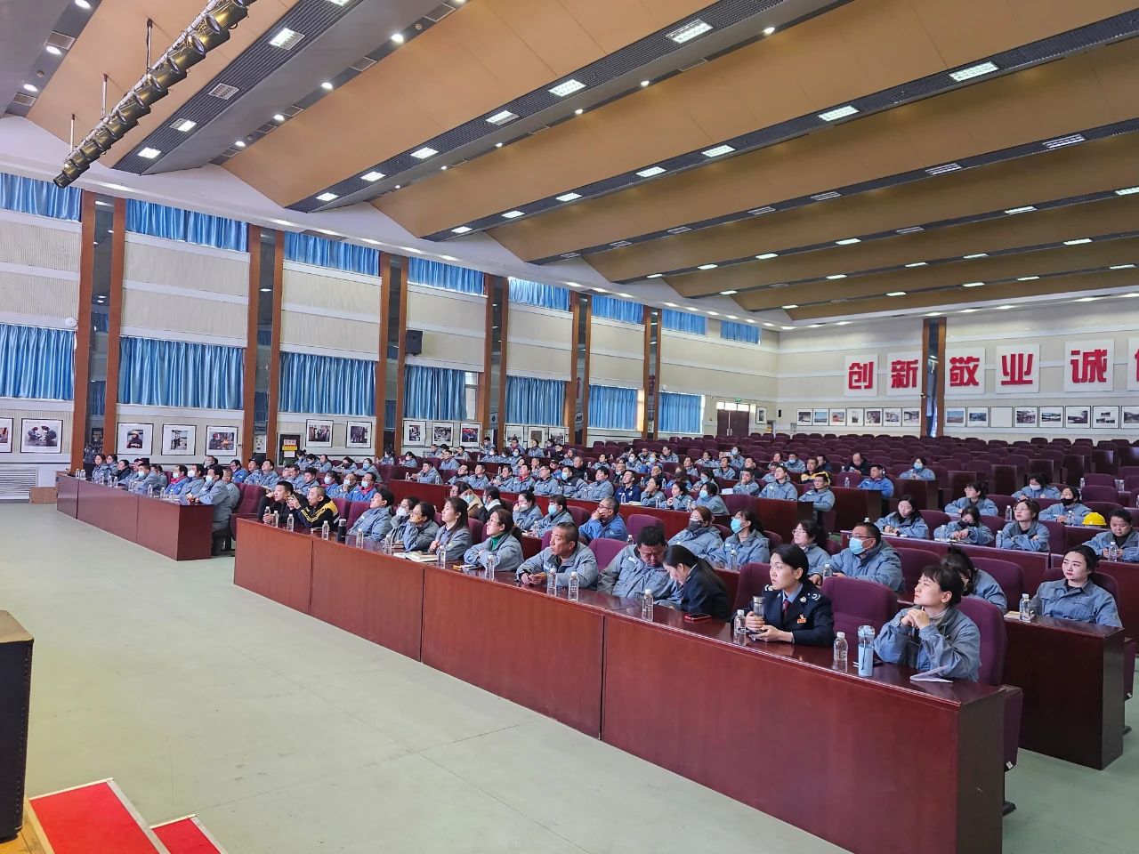 1705398717515031.jpeg 1705398717515031.jpeg