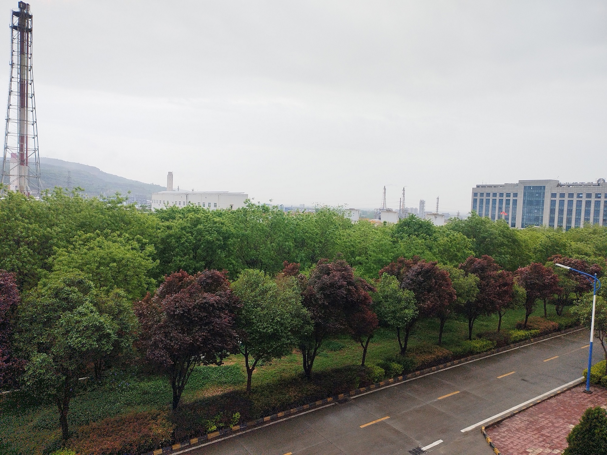 1713517578288251.jpeg 1713517578288251.jpeg