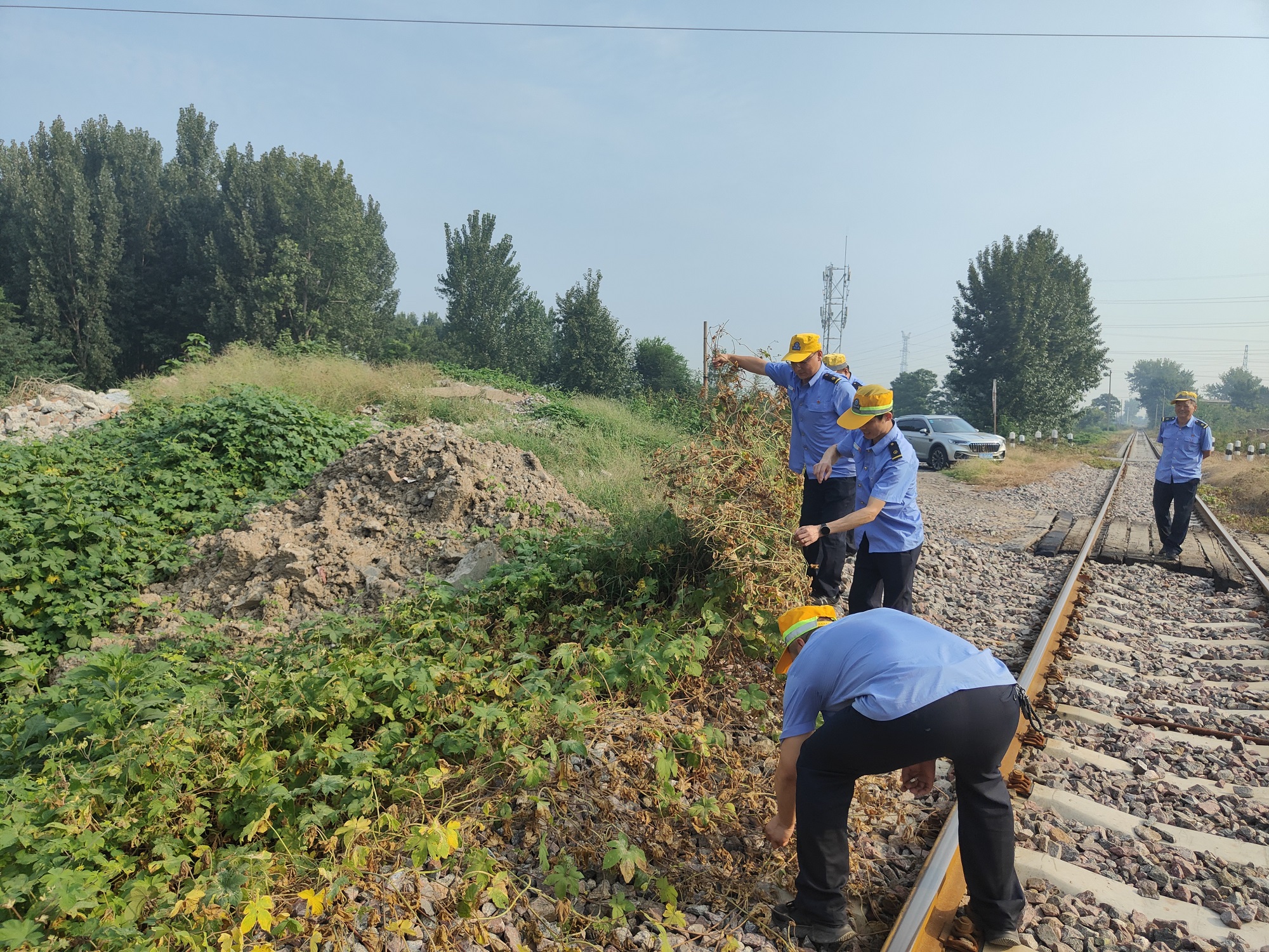 1724810803721455.jpeg 1724810803721455.jpeg