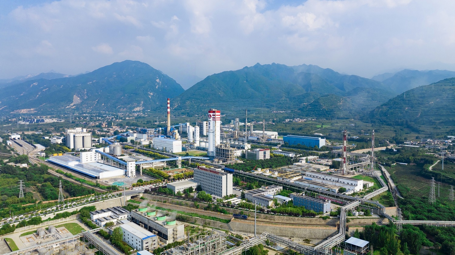 1737096815862821.jpeg 1737096815862821.jpeg