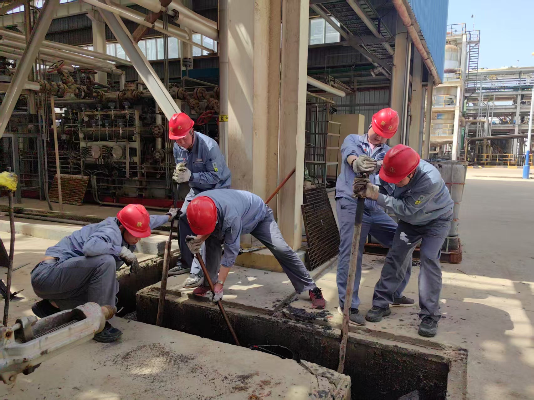 1745455241797629.jpeg 1745455241797629.jpeg