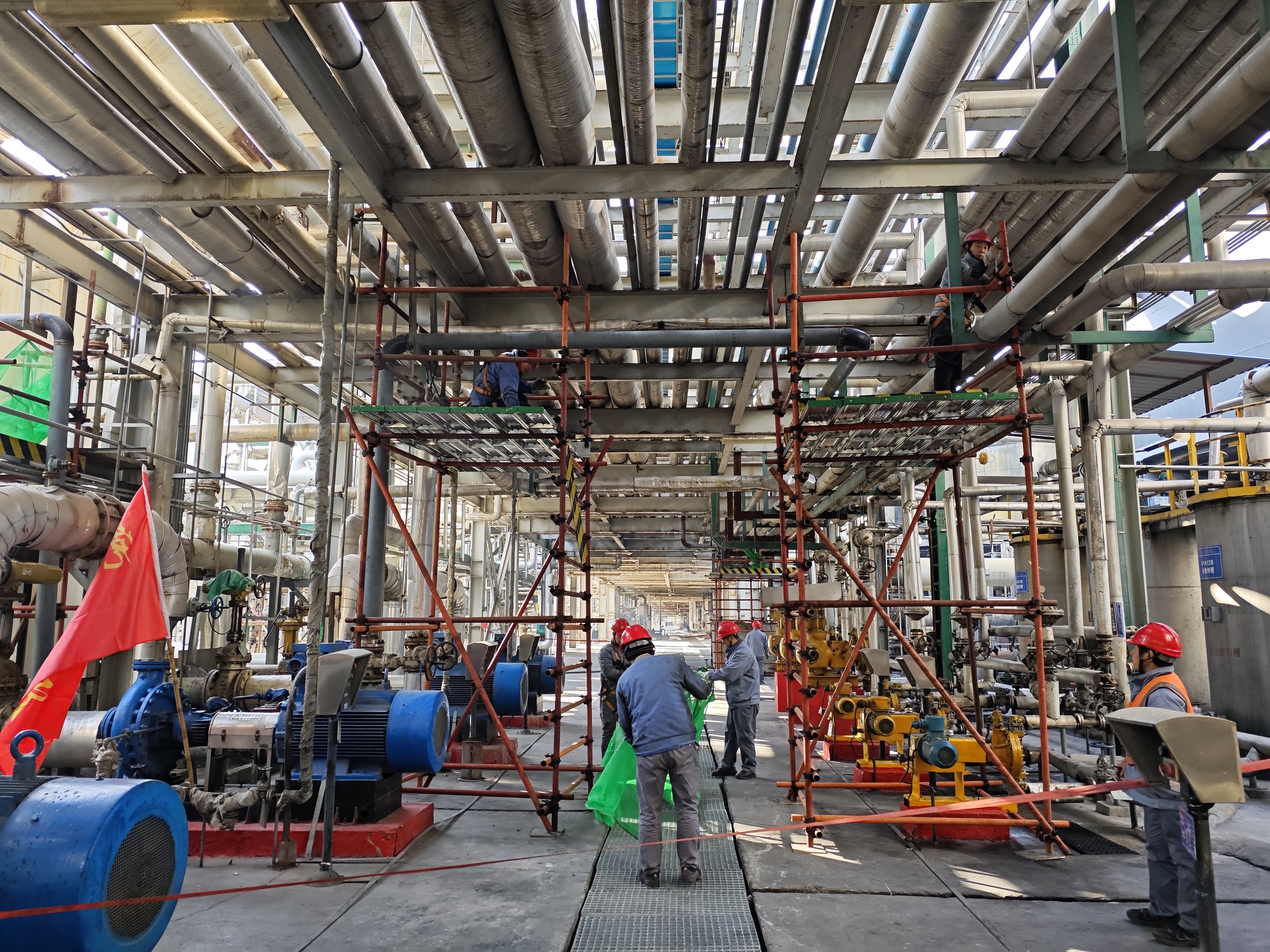 1745541941622266.jpeg 1745541941622266.jpeg