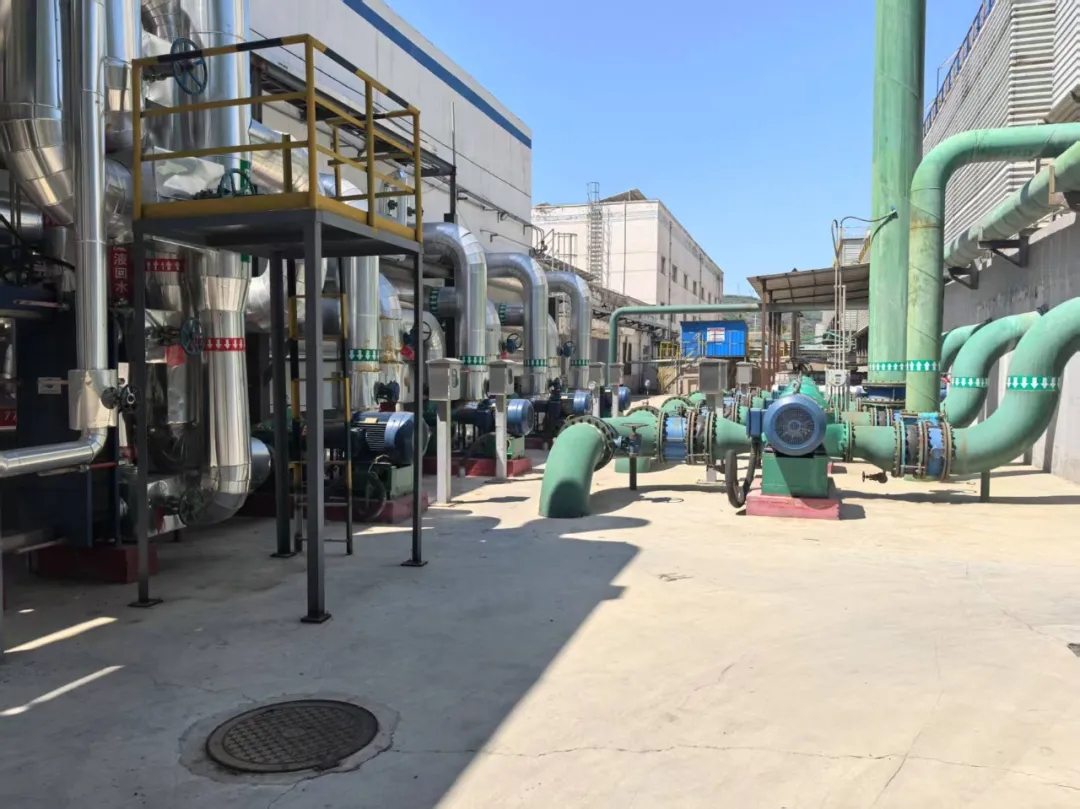 1745896508906072.jpeg 1745896508906072.jpeg