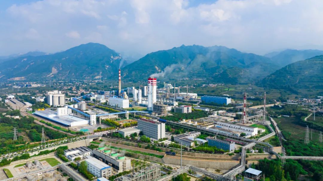 1750300987662936.jpeg 1750300987662936.jpeg