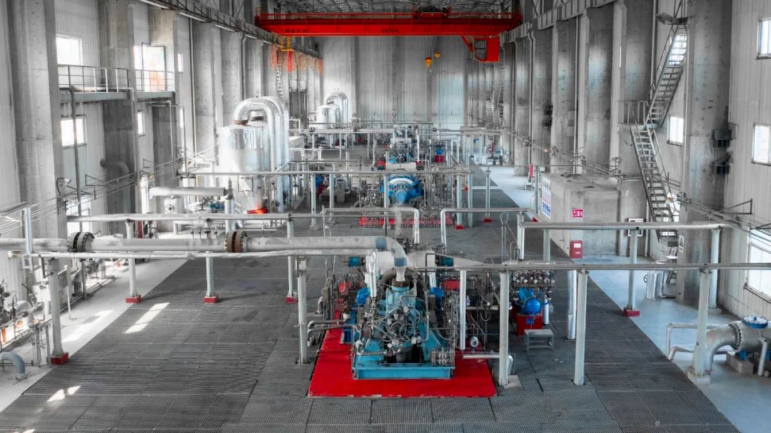 1750301008368718.jpeg 1750301008368718.jpeg