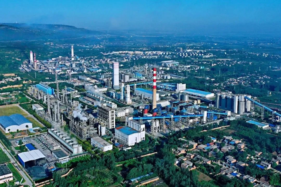 1750812389121256.jpeg 1750812389121256.jpeg