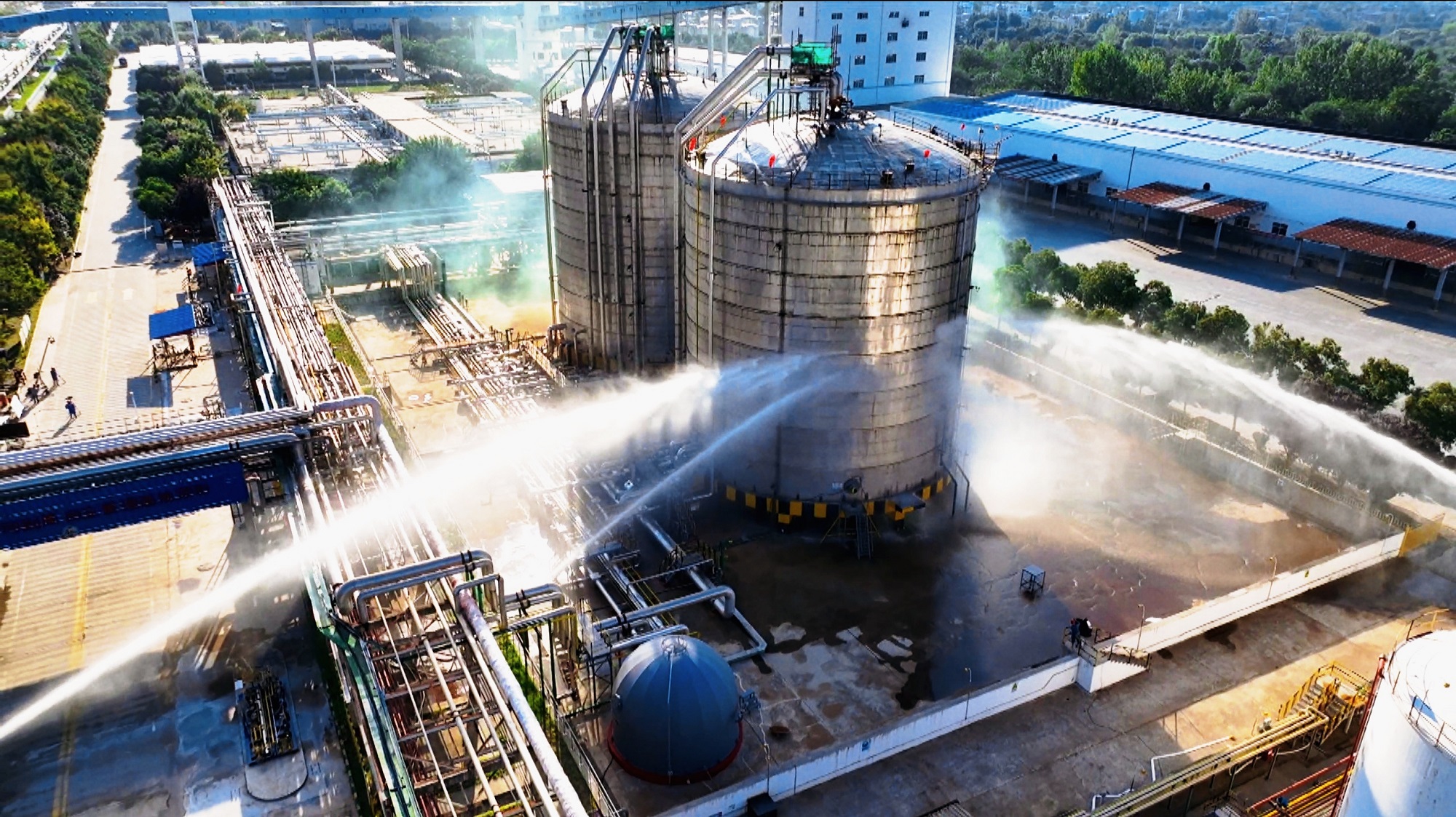 1757982689810616.jpeg 1757982689810616.jpeg