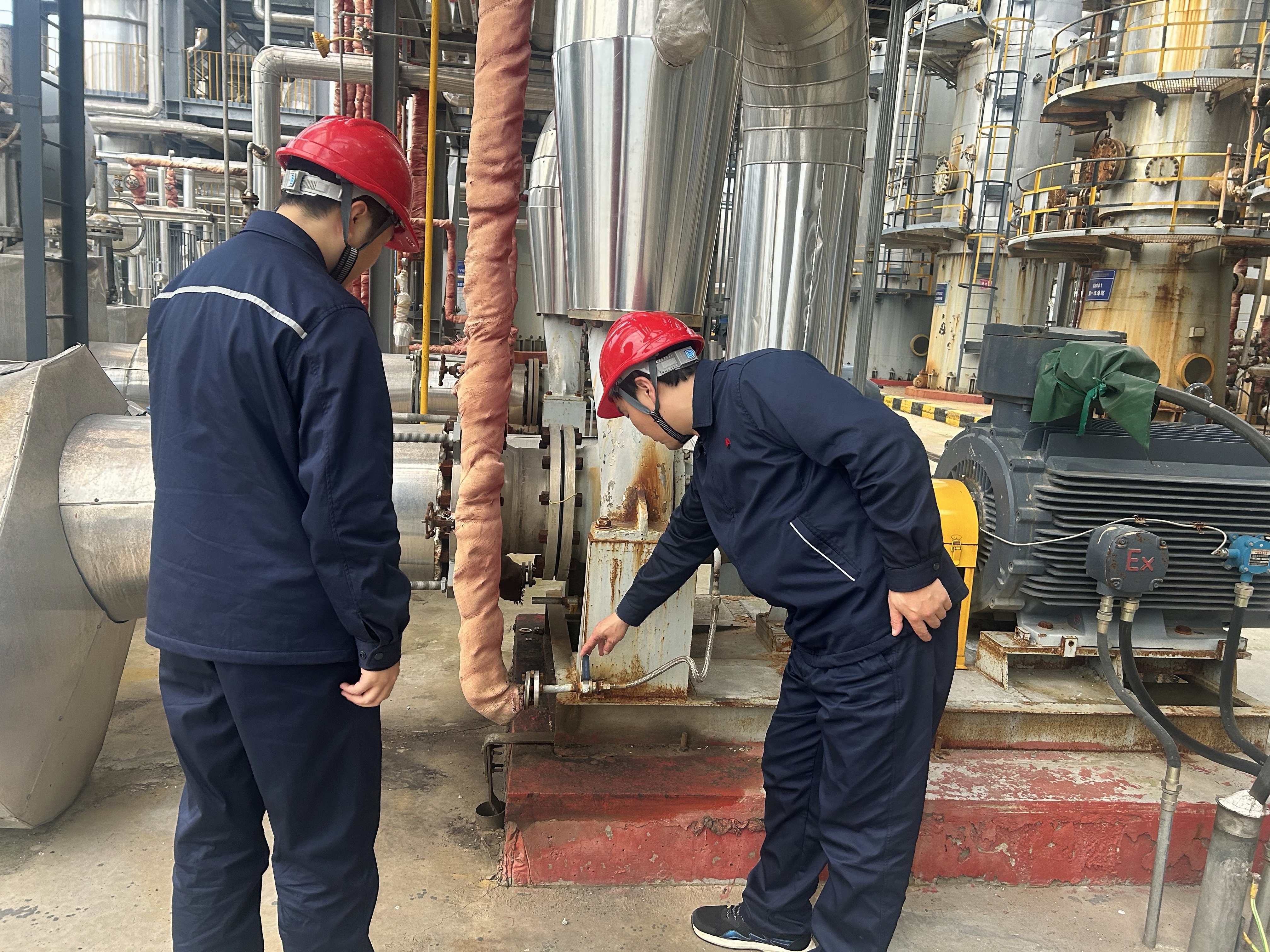 1762764446113505.jpeg 1762764446113505.jpeg