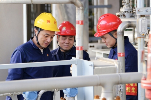 1765851180638201.jpeg 1765851180638201.jpeg