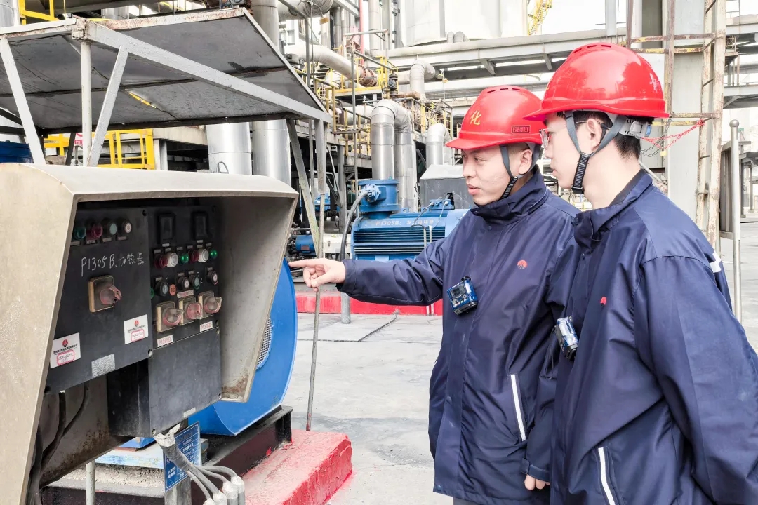 1771900096961292.jpeg 1771900096961292.jpeg